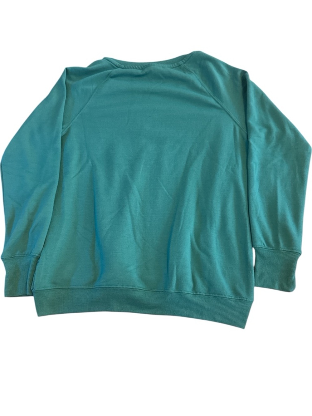 Philosophy Teal Crewneck Sweatshirt with White 'NOEL' Chenille - Picture 2 of 3
